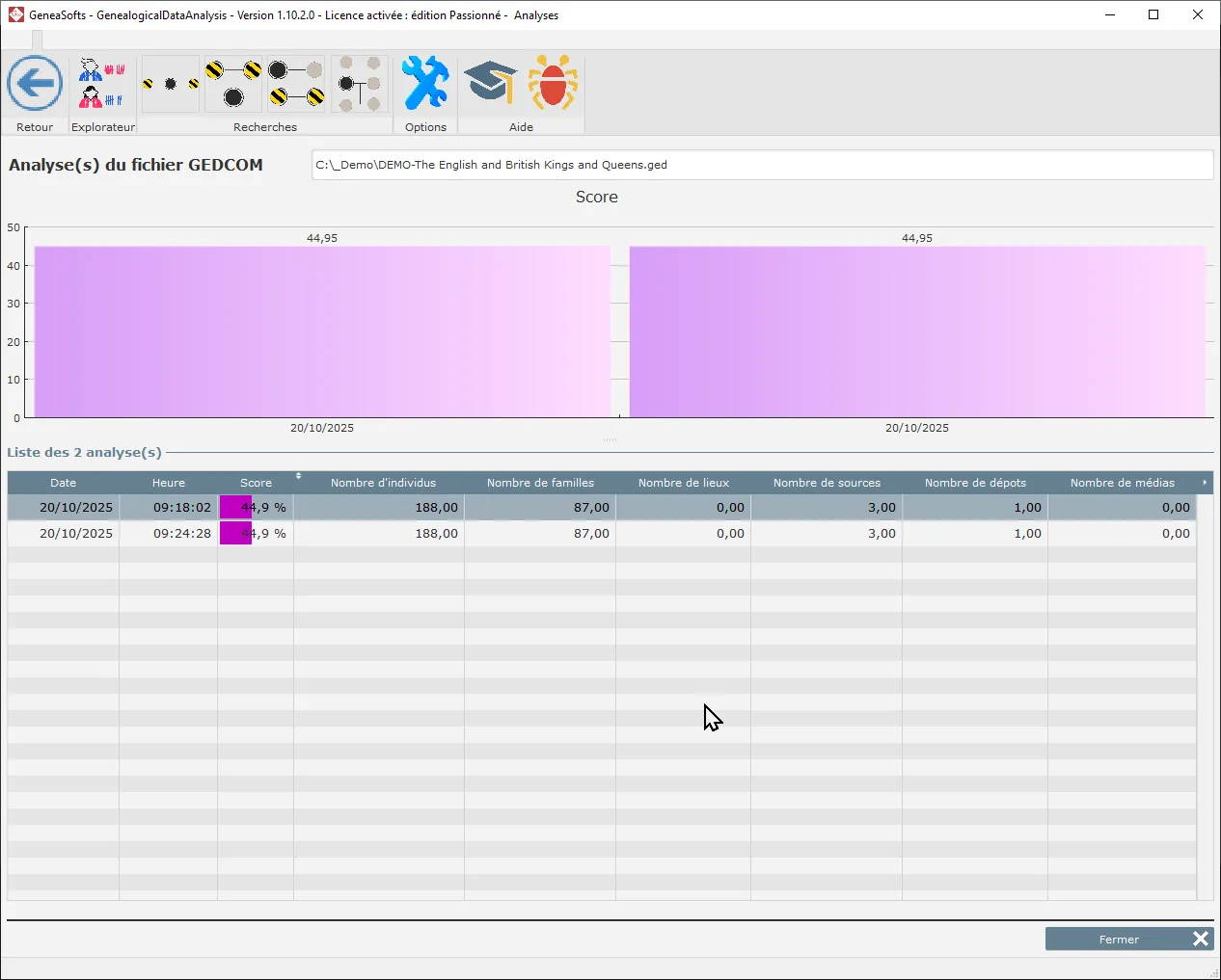 Genealogical Data Analysis - Fenêtre de résultats des analyses des fichiers GEDCOM