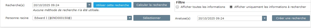 Genealogical Data Analysis - Fenêtre de l'assistant de recherche - Informations sur la recherche